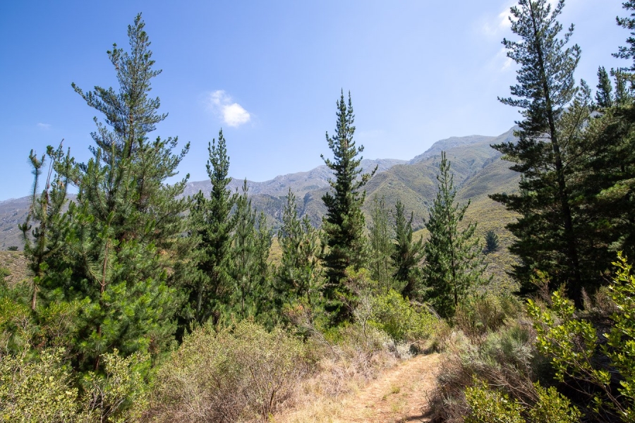 Commercial Property for Sale in Robertson Rural Western Cape